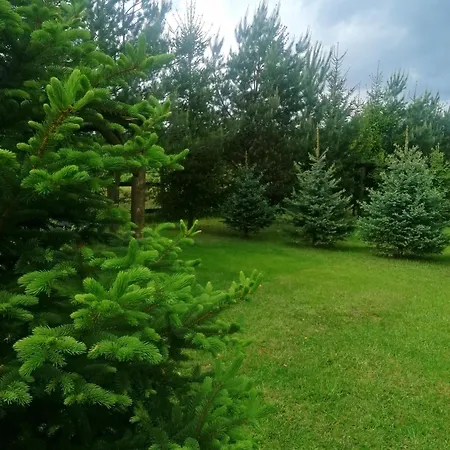 Camp Pacho Campsite *